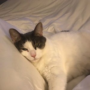 Meet your Posher, Donna